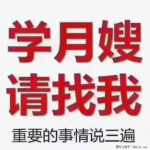 【招聘】月嫂,上海徐汇区 - 职场交流 - 株洲生活社区 - 株洲28生活网 zhuzhou.28life.com