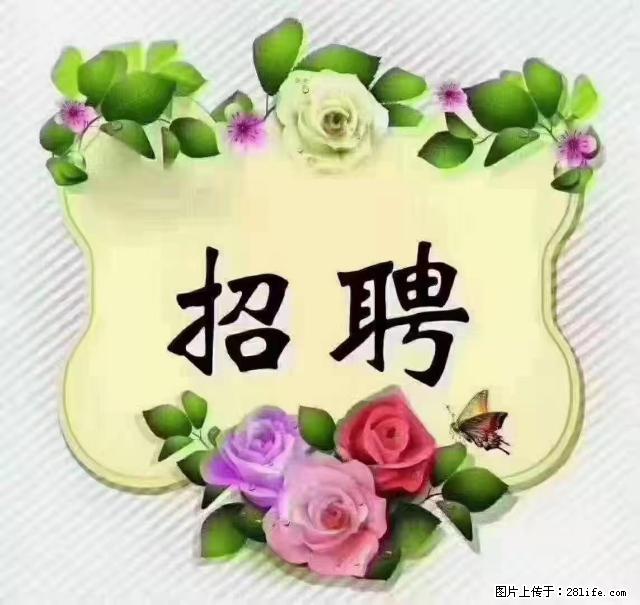 【招聘】住家育儿嫂，上户日期：4月4日，工作地址：上海 黄浦区 - 职场交流 - 株洲生活社区 - 株洲28生活网 zhuzhou.28life.com