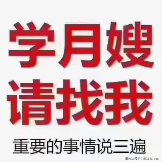 【招聘】月嫂，上海徐汇区 - 株洲28生活网 zhuzhou.28life.com