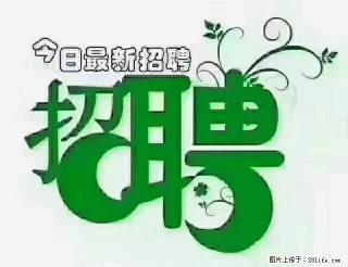 上海青浦区招仓管 - 株洲28生活网 zhuzhou.28life.com