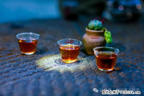 时间果百年古树2025年春红茶 - 购物交流 - 株洲生活社区 - 株洲28生活网 zhuzhou.28life.com