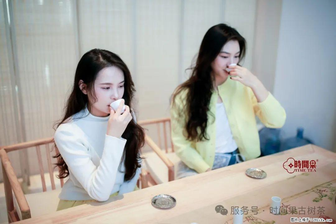 时间果百年古树龙珠普洱生茶 - 购物交流 - 株洲生活社区 - 株洲28生活网 zhuzhou.28life.com