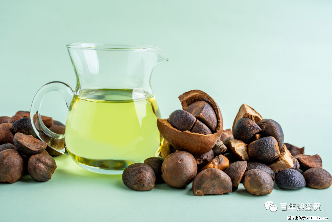 揭秘茶油的5大核心营养成分！被称为人体健康的“守护盾”！ - 株洲生活资讯 - 株洲28生活网 zhuzhou.28life.com