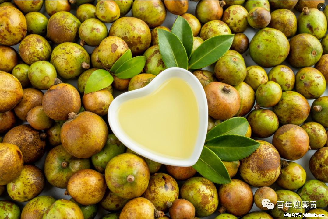 世界没有真相，只有认知，最好的食用油是中国的山茶油！ - 株洲生活资讯 - 株洲28生活网 zhuzhou.28life.com