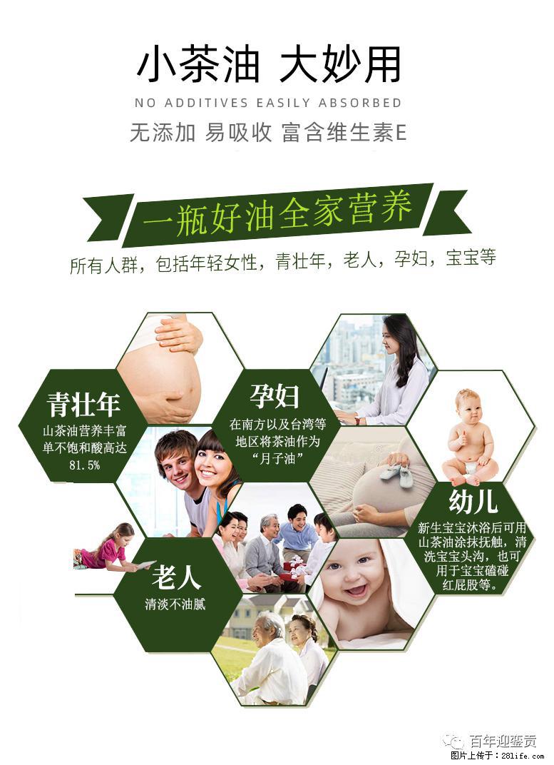 世界没有真相，只有认知，最好的食用油是中国的山茶油！ - 株洲生活资讯 - 株洲28生活网 zhuzhou.28life.com