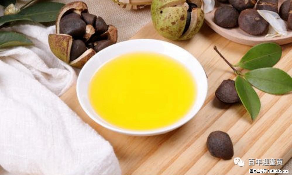 世界没有真相，只有认知，最好的食用油是中国的山茶油！ - 株洲生活资讯 - 株洲28生活网 zhuzhou.28life.com