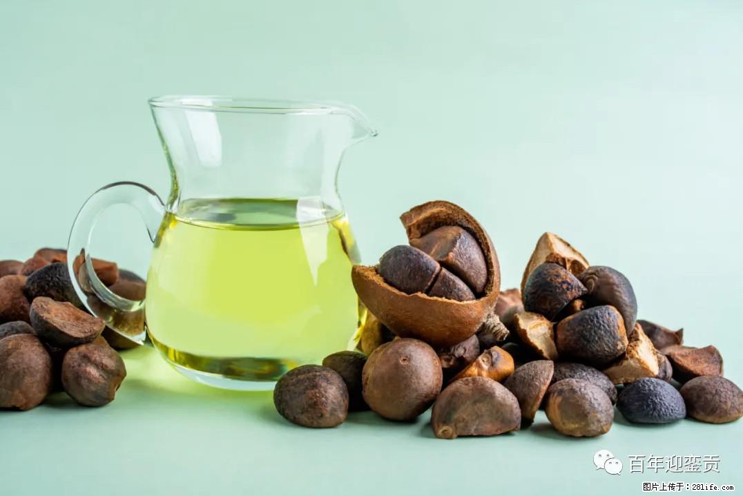 世界没有真相，只有认知，最好的食用油是中国的山茶油！ - 株洲生活资讯 - 株洲28生活网 zhuzhou.28life.com
