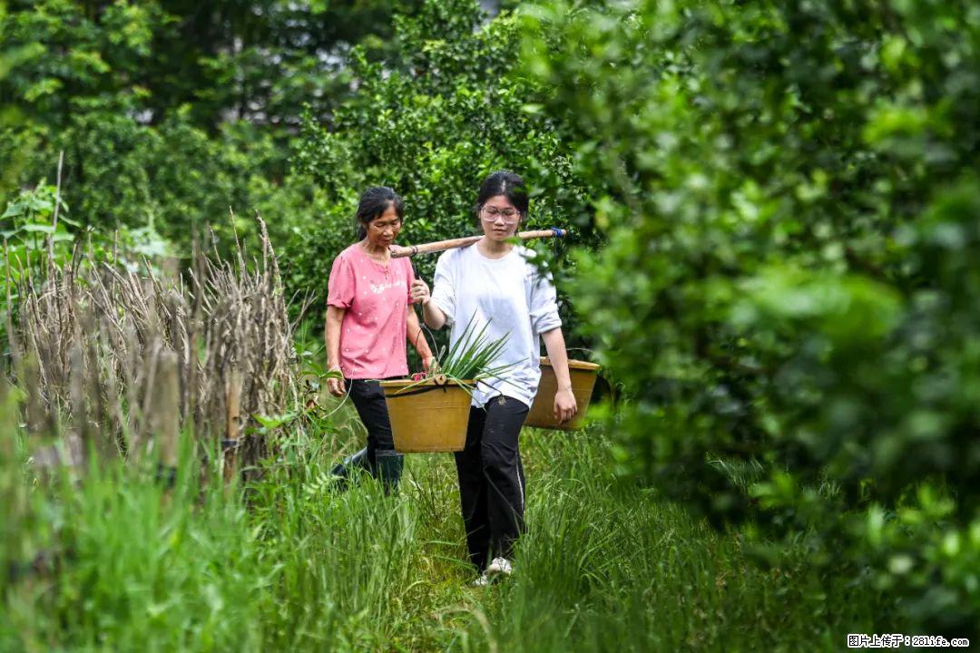 全网追的“扁担女孩”，找了一份暑假工，时薪12元 - 株洲生活资讯 - 株洲28生活网 zhuzhou.28life.com