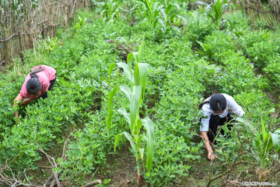 全网追的“扁担女孩”，找了一份暑假工，时薪12元 - 株洲生活资讯 - 株洲28生活网 zhuzhou.28life.com