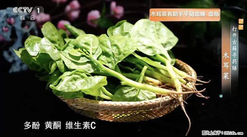 比牛奶补钙还厉害！凉血解毒、稳血糖...这菜冬天必吃，很多人却当草 - 株洲生活资讯 - 株洲28生活网 zhuzhou.28life.com