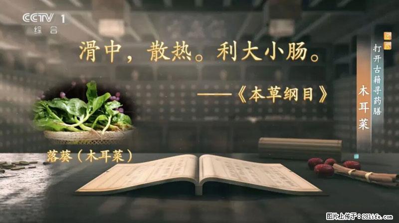 比牛奶补钙还厉害！凉血解毒、稳血糖...这菜冬天必吃，很多人却当草 - 株洲生活资讯 - 株洲28生活网 zhuzhou.28life.com