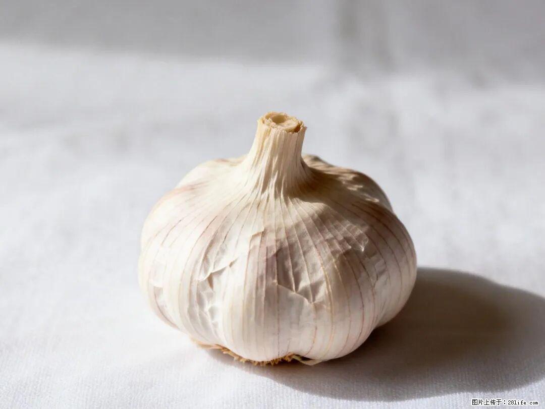 关于大蒜，除了“天然抗生素”，这4个谣言更该警惕! - 株洲生活资讯 - 株洲28生活网 zhuzhou.28life.com