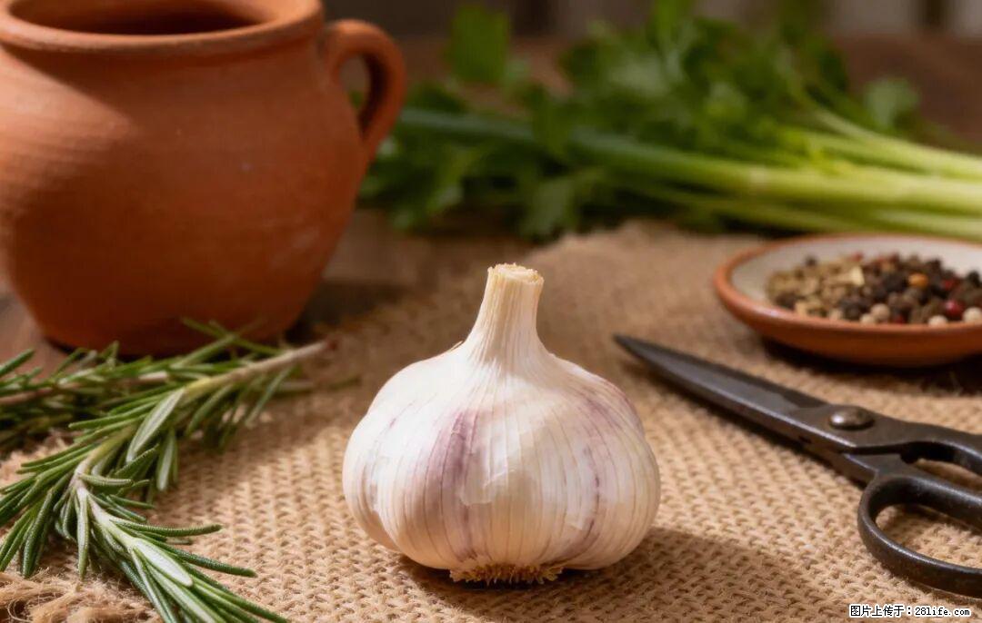 关于大蒜，除了“天然抗生素”，这4个谣言更该警惕! - 株洲生活资讯 - 株洲28生活网 zhuzhou.28life.com