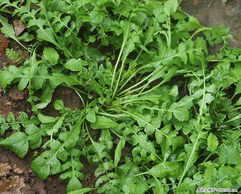 这些蔬菜是“天然钙片”，这6种被医生重点推荐 - 株洲生活资讯 - 株洲28生活网 zhuzhou.28life.com