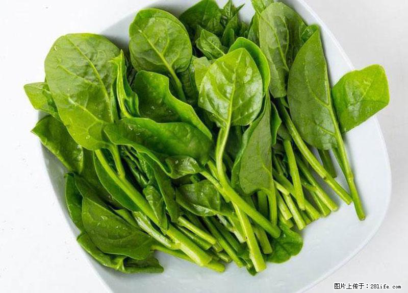 这些蔬菜是“天然钙片”，这6种被医生重点推荐 - 株洲生活资讯 - 株洲28生活网 zhuzhou.28life.com