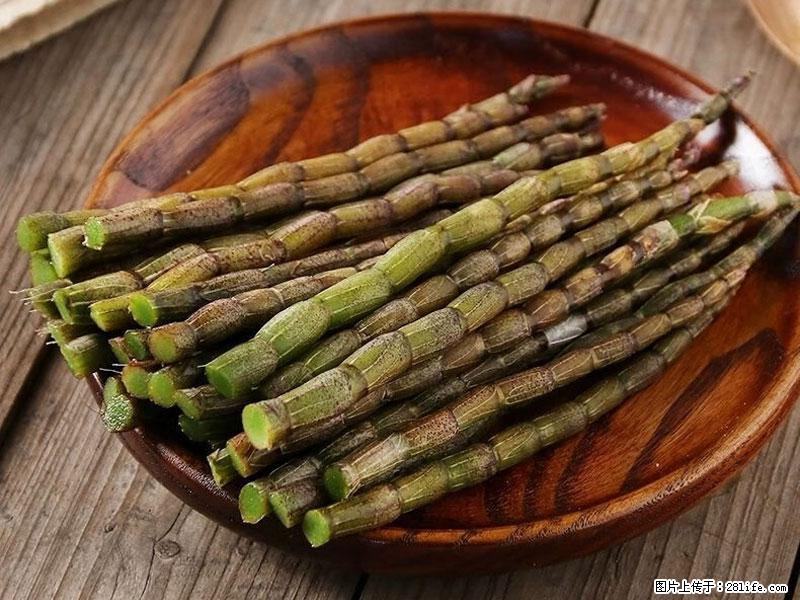 铁皮石斛的作用与功能主治 - 株洲生活资讯 - 株洲28生活网 zhuzhou.28life.com