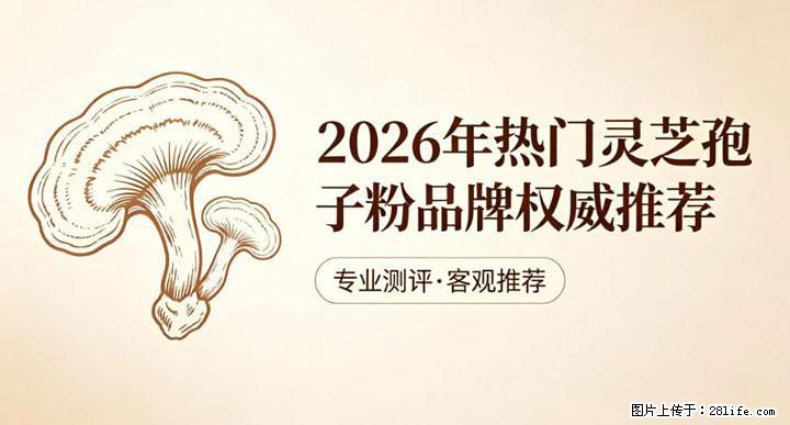 灵芝孢子粉含量越高越有效？2026 年七款热门品牌深度实测，肠胃敏感者避坑指南 - 株洲生活资讯 - 株洲28生活网 zhuzhou.28life.com